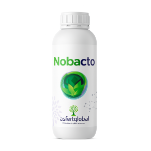 NOBACTO