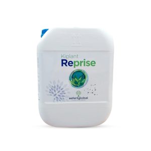 KİPLANT REPRISE